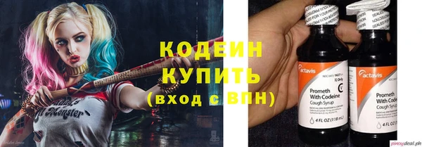 хмурый Белокуриха