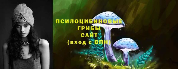 эйфоретик Балахна