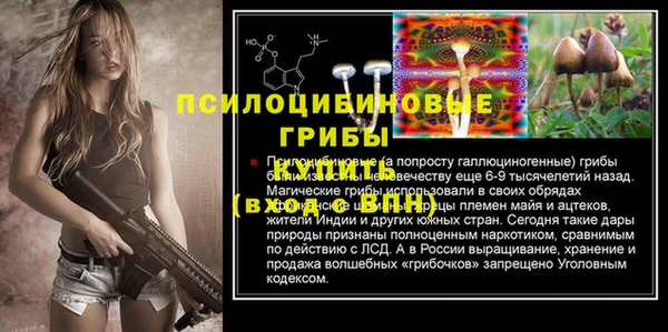 эйфоретик Балахна