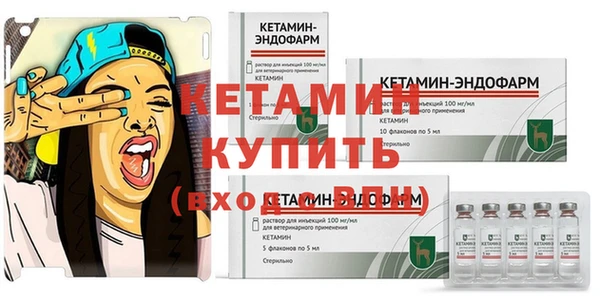хмурый Белокуриха